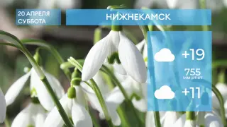 Прогноз погоды в Нижнекамске на 20-е апреля 2024 года
