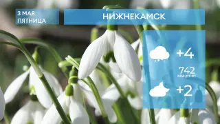 Погода в Нижнекамске на 3-е мая 2024 года
