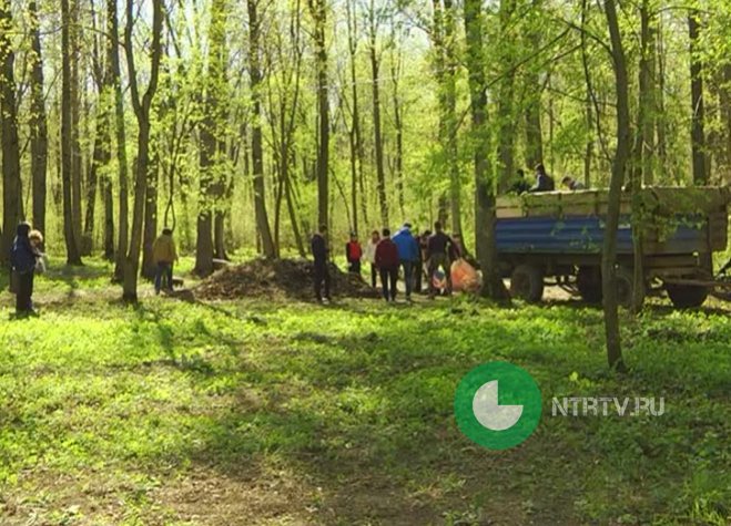 В Нижнекамске ветрено и +11 градусов