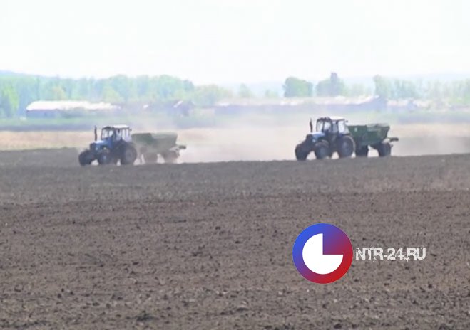 В Нижнекамском районе завершается весенняя посевная кампания