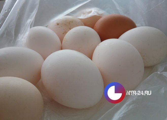 В Нижнекамске рабочих одного из предприятий кормили просроченными продуктами питания