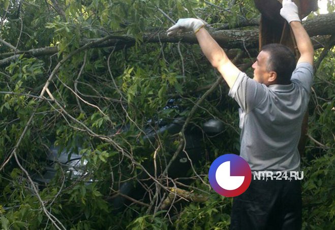 В Нижнекамске во время грозы упало дерево, а дождем подтопило несколько зданий