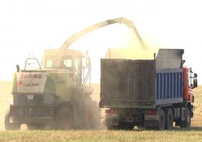 В Нижнекамском районе намолочено более 70 тыс тонн зерна