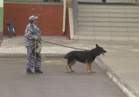 В Нижнекамске оцепили здание детсада из-за подозрительной сумки