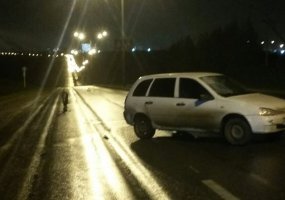 В Нижнекамске водитель сбил пьяного велосипедиста