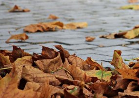 В Нижнекамске +1, ночью похолодает до 4 градусов мороза