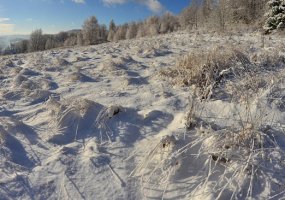 В Нижнекамске 1 градус мороза, ожидается снегопад