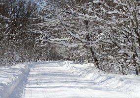 В Нижнекамске из-за непогоды закрыта трасса