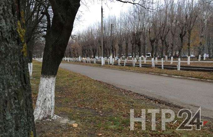 В Нижнекамске -2 градуса и пасмурно, днем похолодает