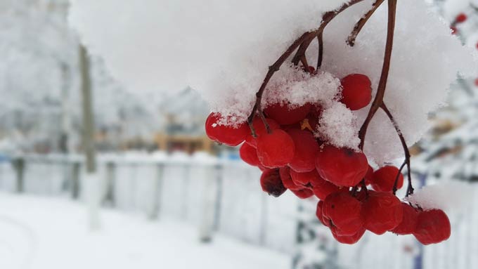 В Нижнекамске -4 градуса, ожидается снегопад и мороз