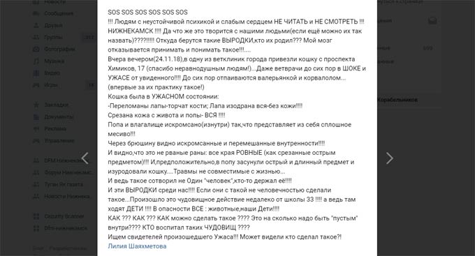 В Нижнекамске неизвестные содрали кожу с кошки и сломали лапы