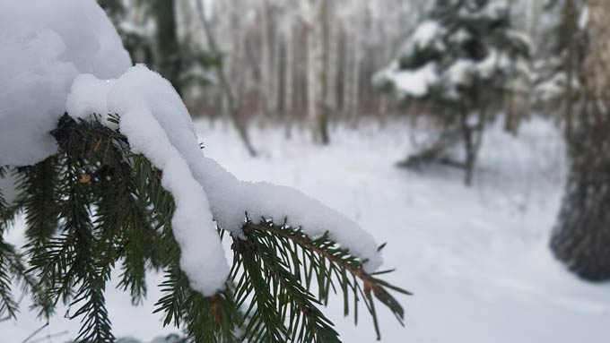 В Нижнекамске -6 градусов, завтра значительно похолодает