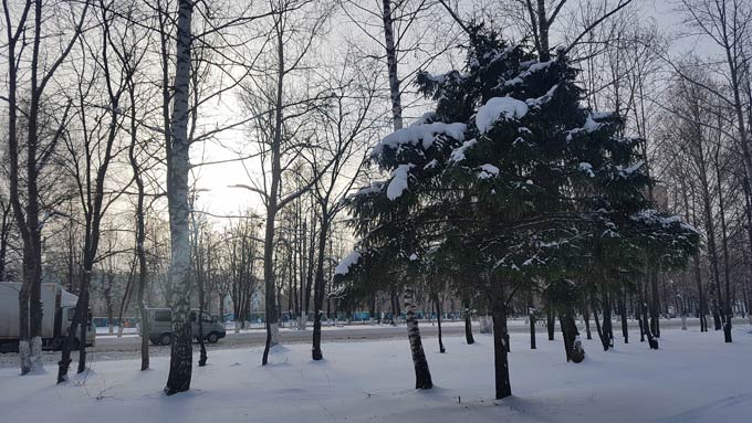 В Нижнекамске 12 градусов мороза, ненадолго потеплеет, ожидаются осадки