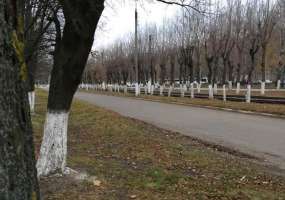 В Нижнекамске -2 градуса и пасмурно, днем похолодает