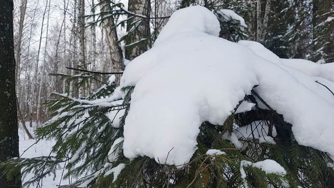 В Нижнекамске около 8 градусов мороза, ожидаются осадки