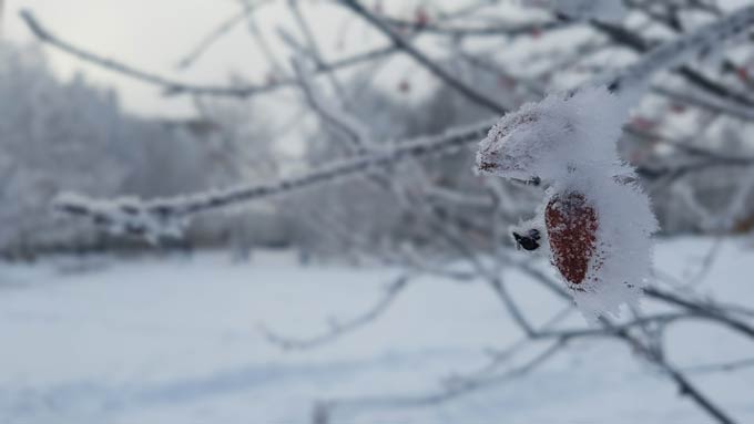 В Нижнекамске -11 градусов, ожидаются слабые осадки