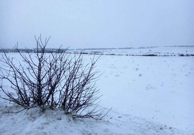 Свалка у села Прости вновь вспыхнула в новогодние праздники