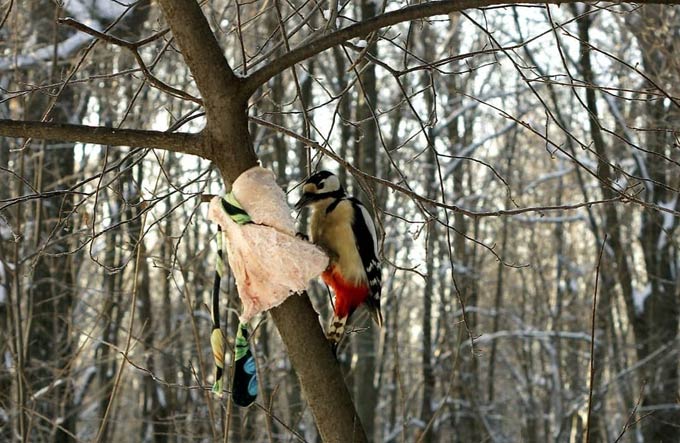 В Татарстане снова ожидается метель с заносами на дорогах