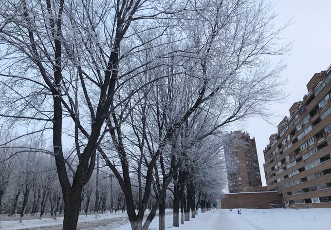 В Нижнекамске -13 градусов, в пятницу будет теплее