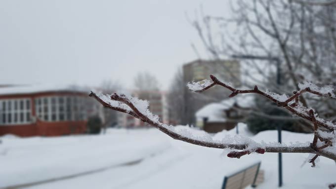 В Нижнекамске 14 градусов мороза, прогнозируется метель