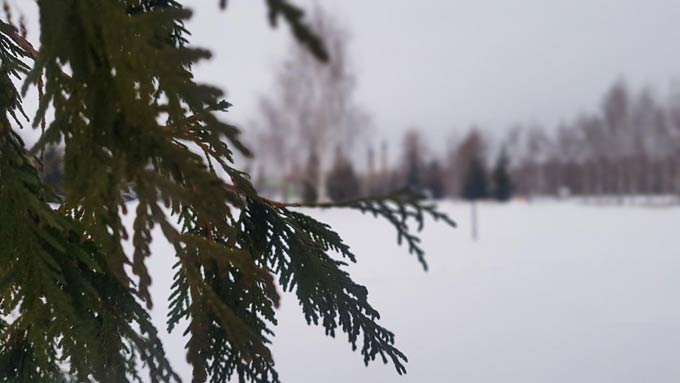 В Нижнекамске -11 градусов, днем начнется метель