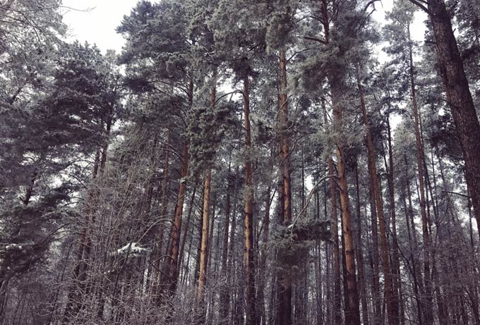 В Нижнекамске 11 градусов мороза, ожидается пасмурная погода