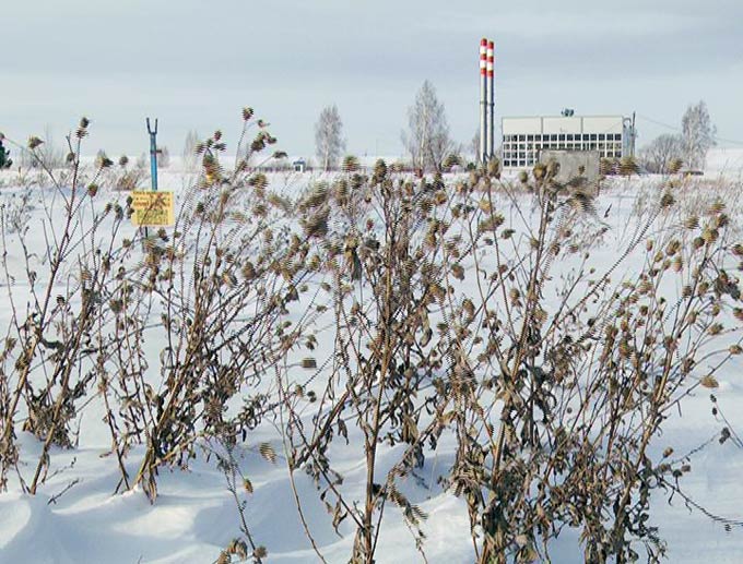 В Камских Полянах построят круглогодичный тепличный комплекс