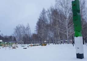 В Нижнекамске -12 градусов, ожидается пасмурная и морозная погода