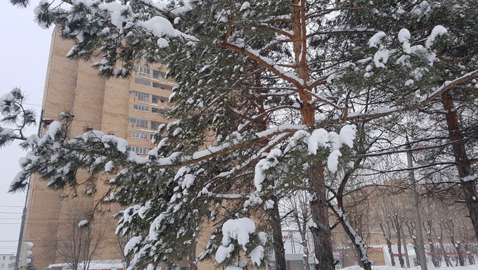 Нижнекамцев предупреждают о сильном ветре и гололеде