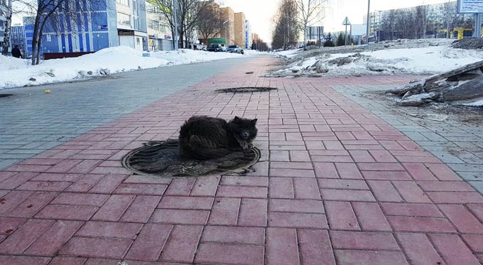 В Нижнекамске -7 градусов и ясно, на дорогах - гололед