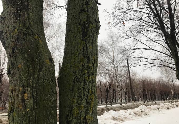 В Нижнекамске около нуля градусов, идет дождь