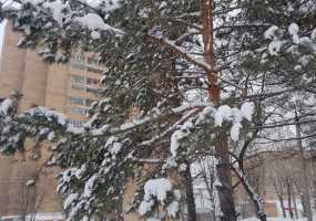 Нижнекамцев предупреждают о сильном ветре и гололеде