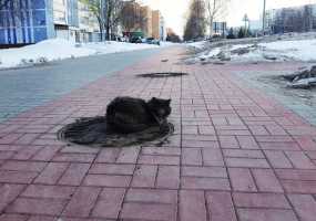 В Нижнекамске -7 градусов и ясно, на дорогах - гололед