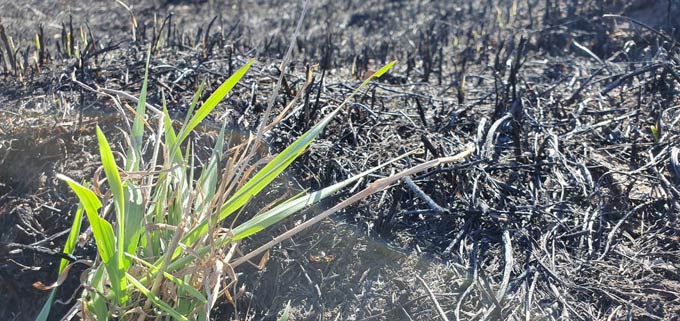 В Нижнекамском районе увеличилось число пожаров