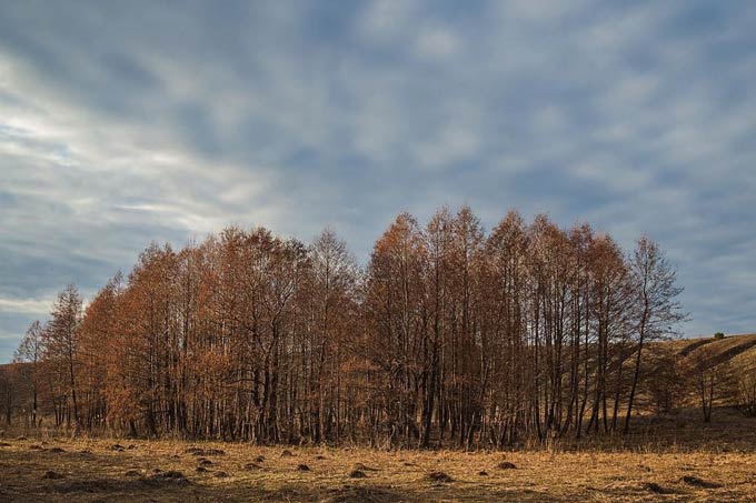 В Нижнекамске +9 градусов, днем будет пасмурно и тепло