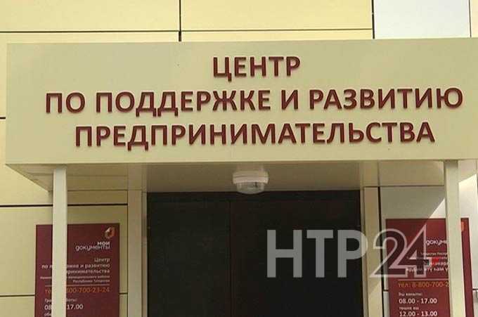 Проверки деятельности предпринимателей из Нижнекамска инициируют недовольные горожане