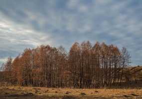 В Нижнекамске +9 градусов, днем будет пасмурно и тепло