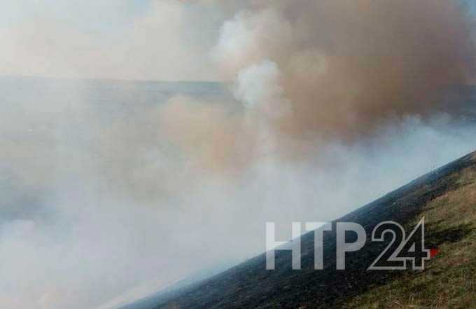 Число возгораний сухой травы в Нижнекамском районе выросло почти в два раза