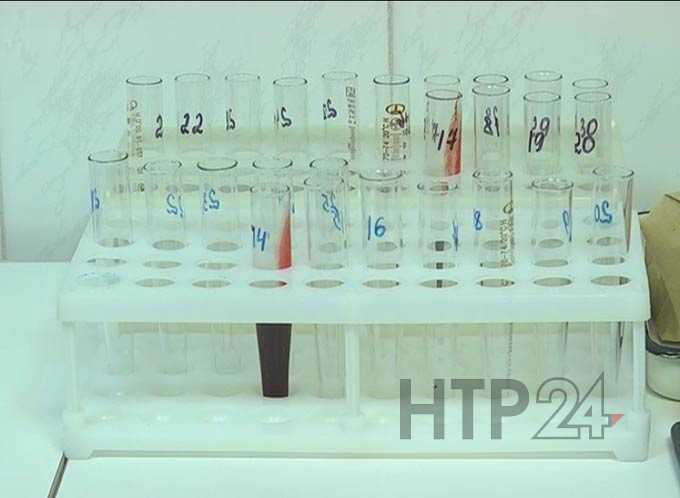 ВИЧ в Нижнекамске чаще всего заражаются неработающие мужчины