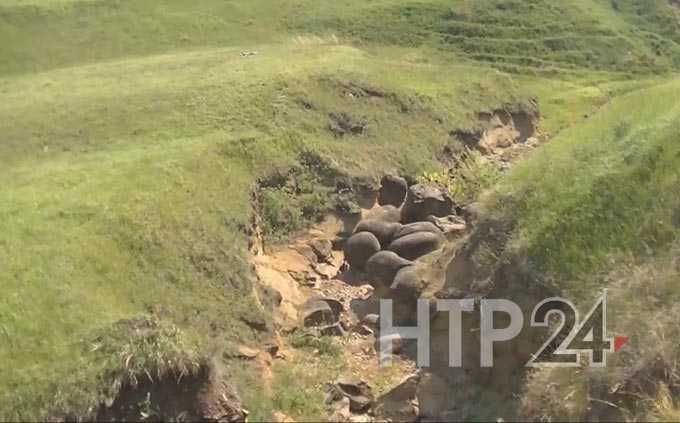 Нижнекамские школьники сняли фильм об уникальном уголке Татарстана