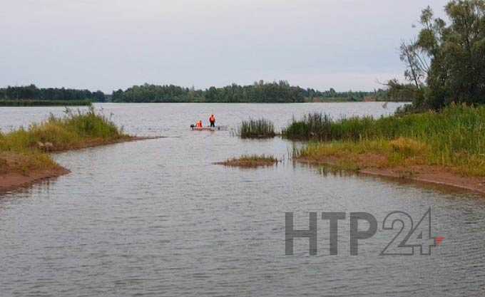 В Нижнекамском районе пропал охотник за металлом