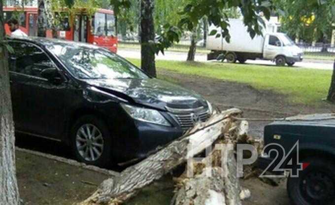 В Нижнекамске старая береза упала на машину