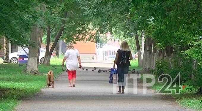 Экологи рассказали, вреден ли смог, окутавший Нижнекамск и пояснили, откуда он пришел