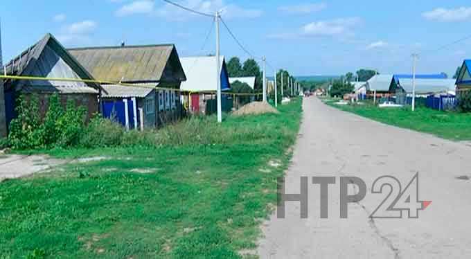 В Нижнекамском районе от укуса пчелы умер еще один пенсионер