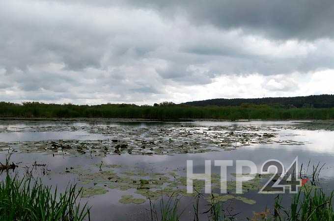 Прогноз погоды на 26 августа в Татарстане: ожидается сильные ветер и похолодание