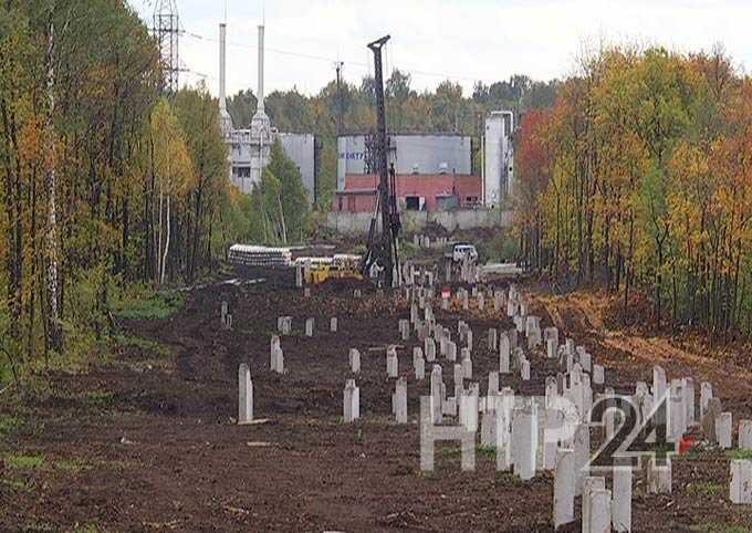 Горожане обеспокоены массовой вырубкой деревьев в промзоне Нижнекамска