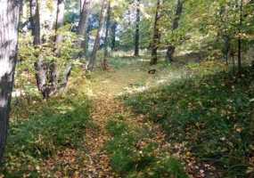 В Нижнекамске +5 градусов, прогнозируются дожди