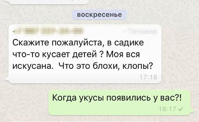 В детском саду Нижнекамского района детей кусают вши