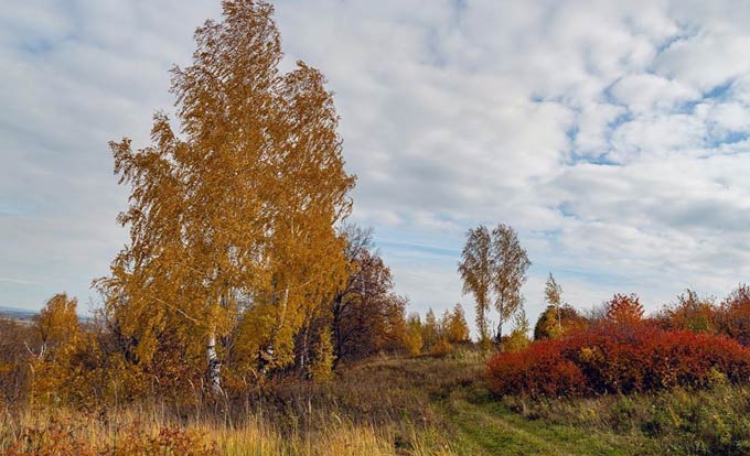 В Нижнекамске +4 градуса, вероятны осадки, но потеплеет