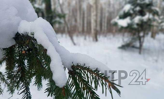 Что следует употреблять в пищу, чтобы не растолстеть за зиму